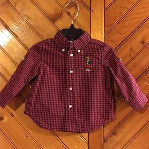 Toddler Polo Bear Oxford Cotton Shirt.